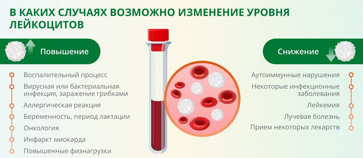 Лейкоциты в моче повышены у грудничка причины