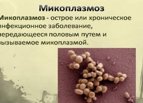 Микоплазма у женщин причины возникновения