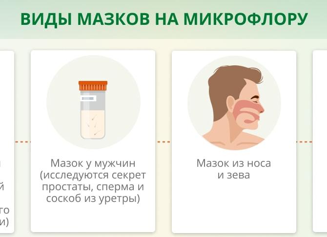 Мазок из зева на микрофлору и чувствительность к антибиотикам