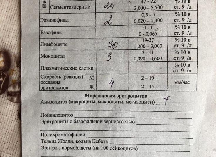 Лимфоциты 47 что это значит Лимфоциты 47 что это значит