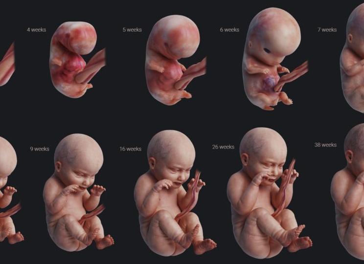 Как выглядит ребенок