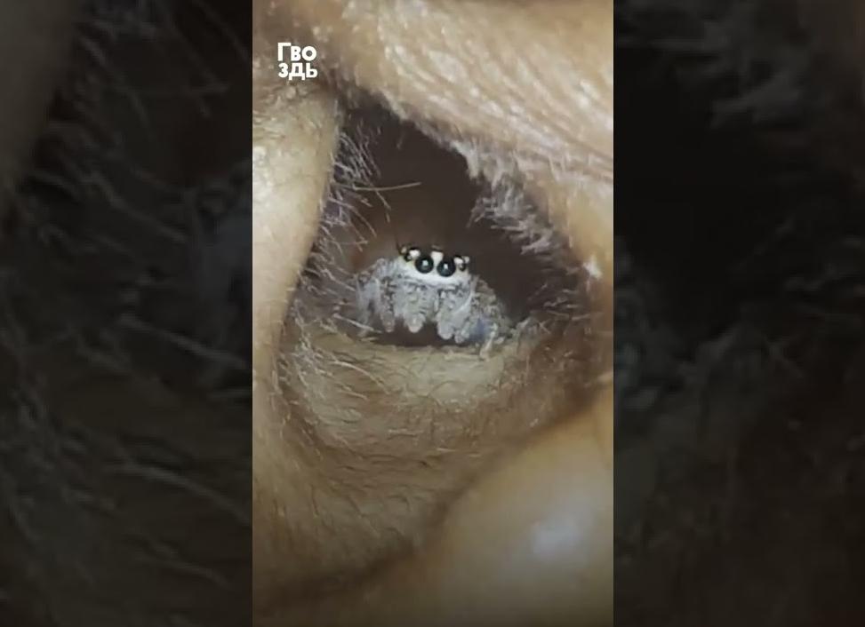 Как будто что то шевелится в правом боку