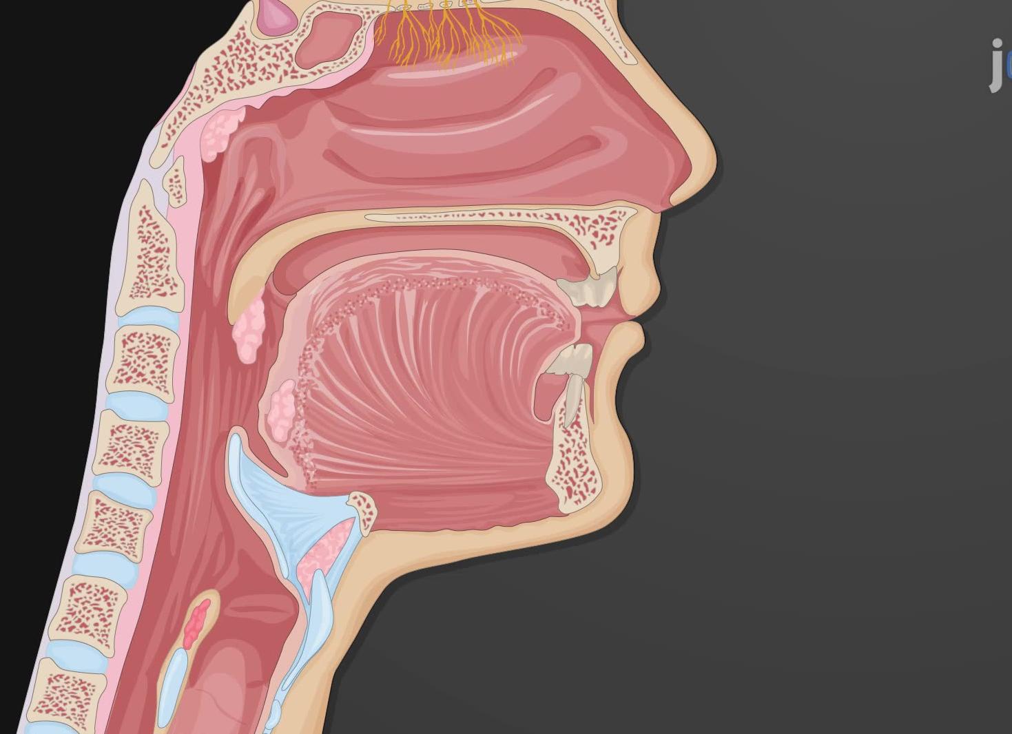 Эпителий плоский у мужчин в мазке