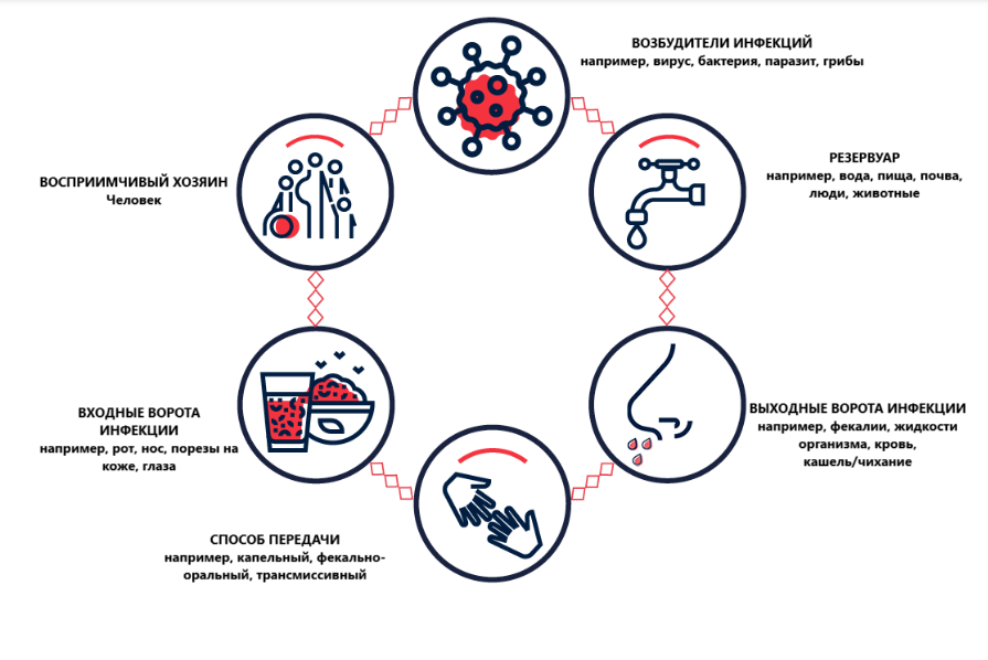 Как определить инфекция или вирус