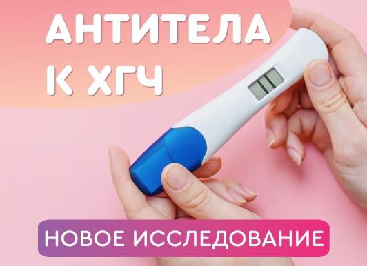 Антитела к хгч что показывает