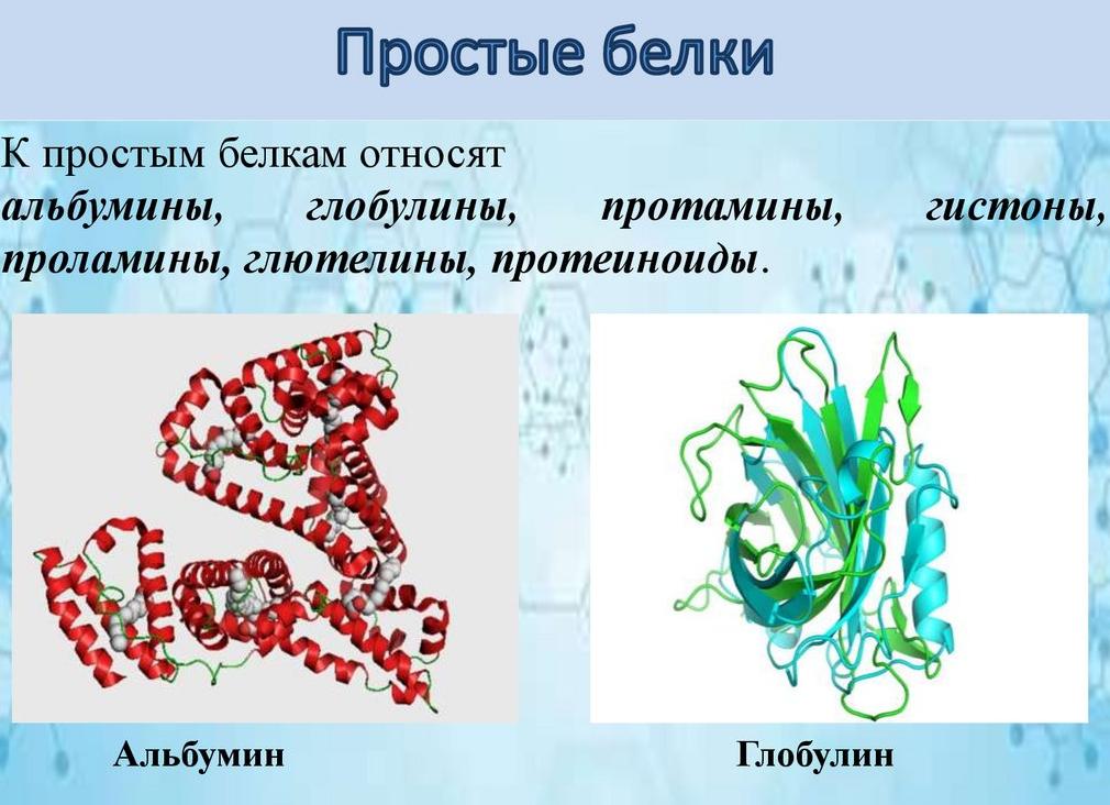 Альбумин глобулин и