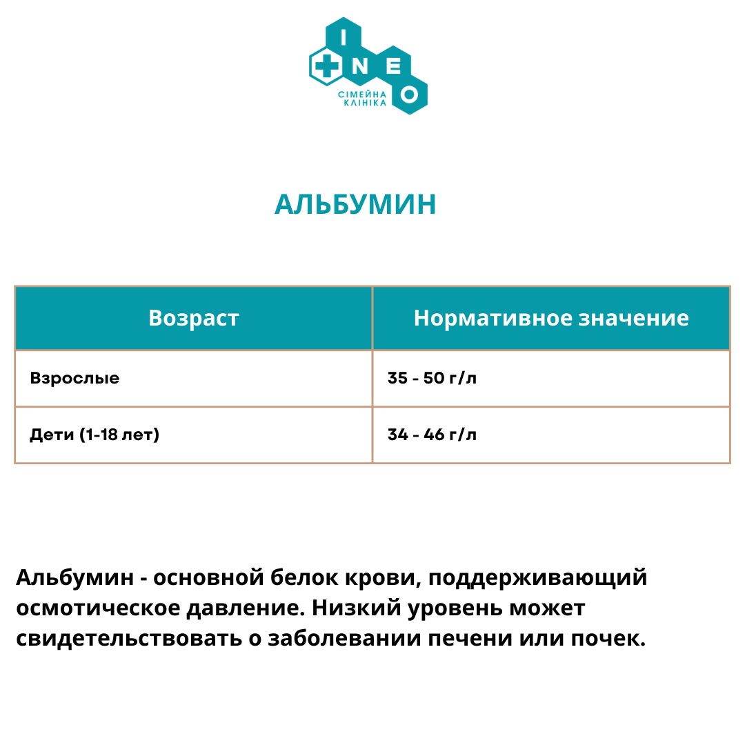 Альбумин норма в крови