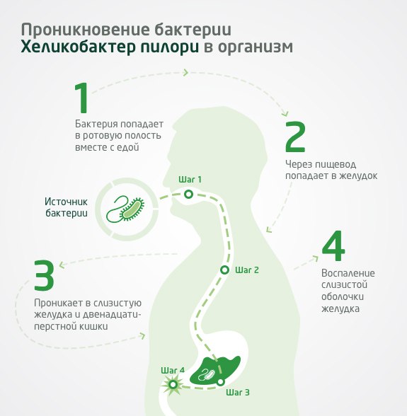 Как происходит заражение хеликобактер пилори