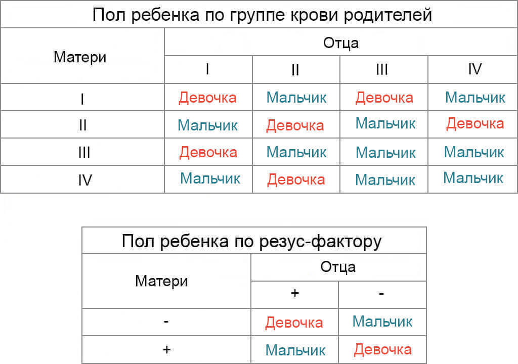 Как узнать пол будущего