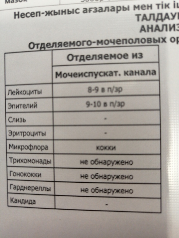 Кокки единичные в мазке у мужчин