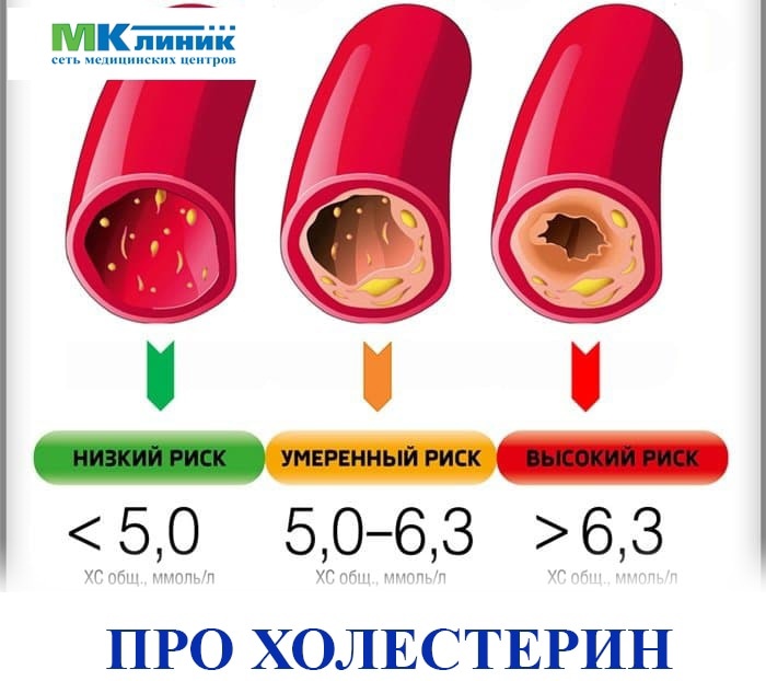 Лпвп холестерин что это