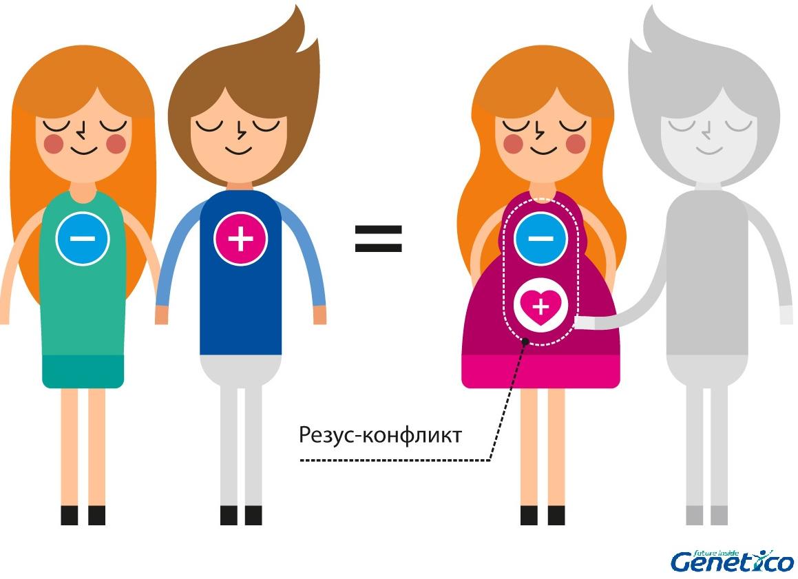 Конфликт резус факторов у родителей Конфликт резус факторов у родителей