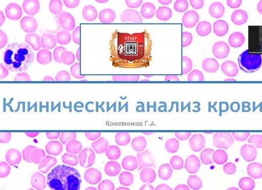 Какие показатели входят в общий анализ крови