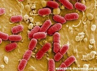 Какие анализы нужно сдать на паразитов взрослому