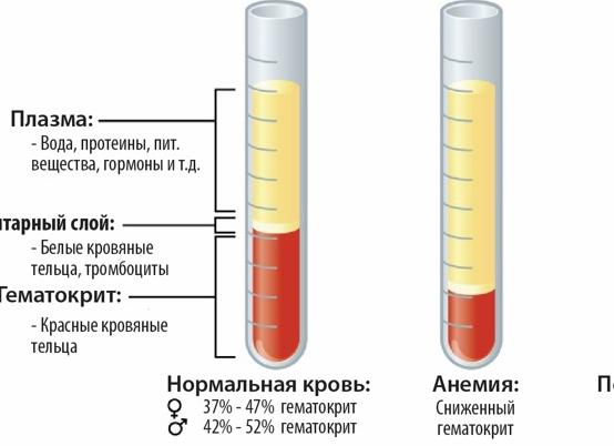 Как получить плазму крови Как получить плазму крови