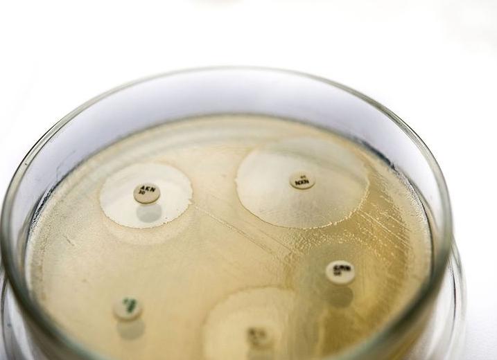 Чувствительный к антибиотикам что это такое