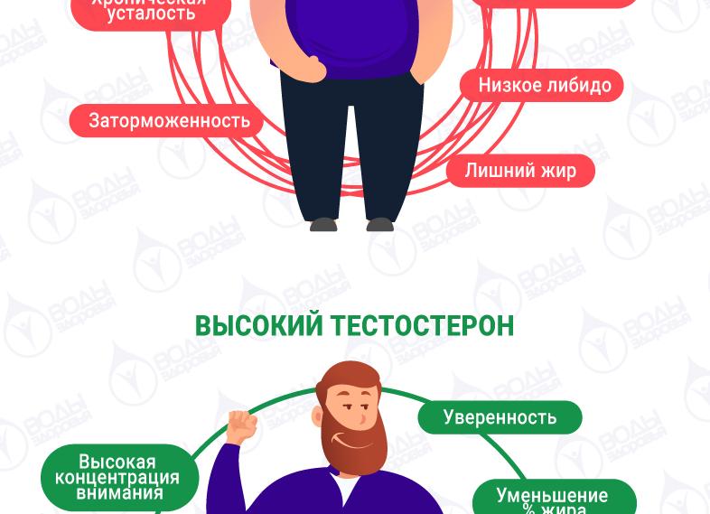 Что понижает тестостерон