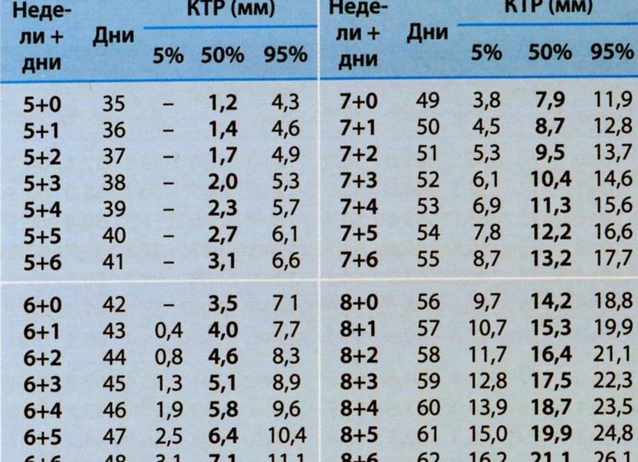 3 мм эмбрион какой срок