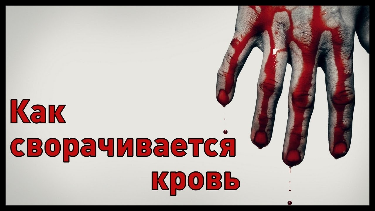 Как сворачивается кровь