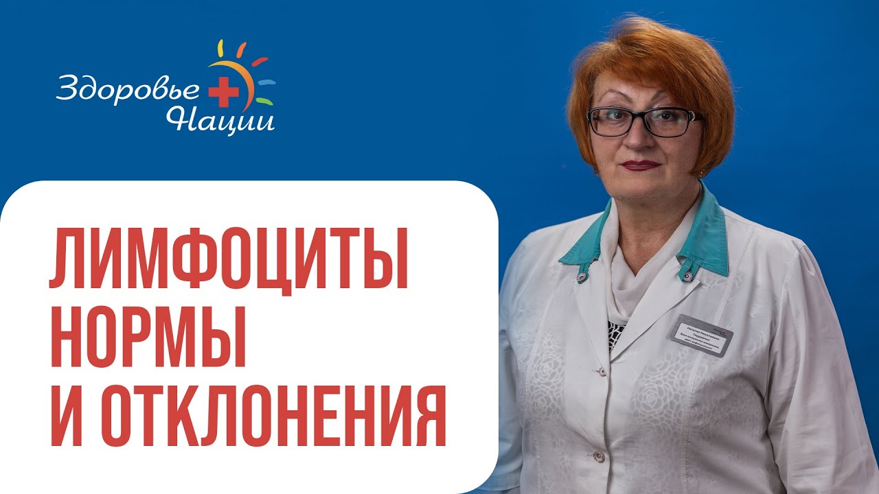 Лимфоциты норма в процентах у женщин