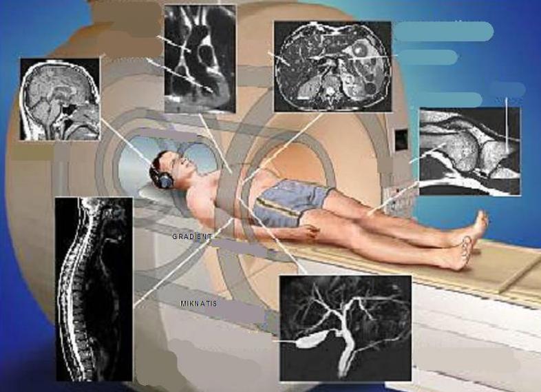 Мрт какие органы можно обследовать