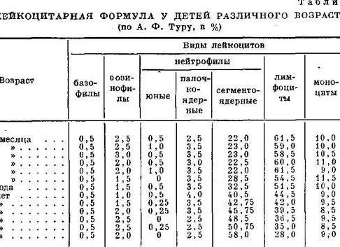 Лейкоцитарная формула у детей