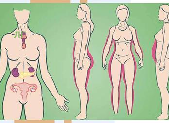 Гормон фсг норма у женщин при менопаузе