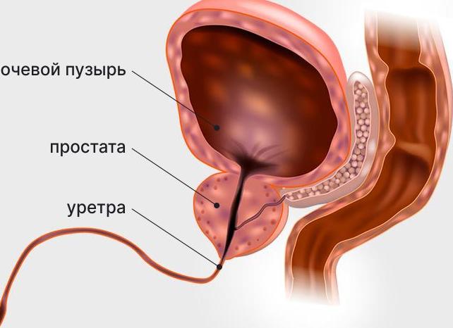 Что такое пса