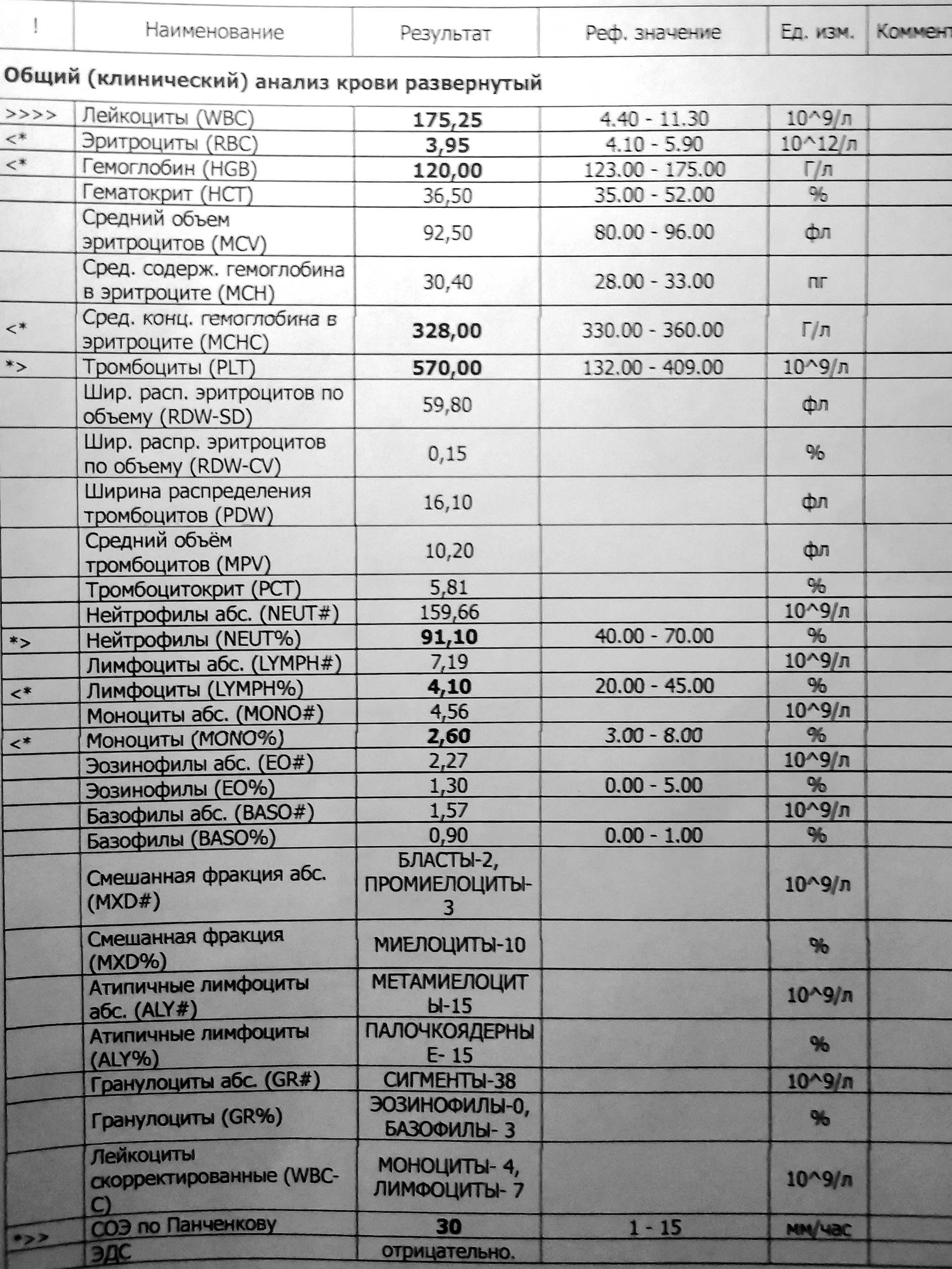 Картина крови при лейкозах