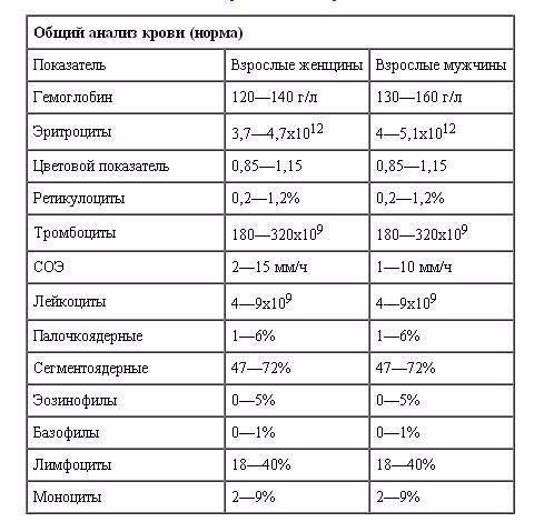 Моноциты что это такое в анализе крови
