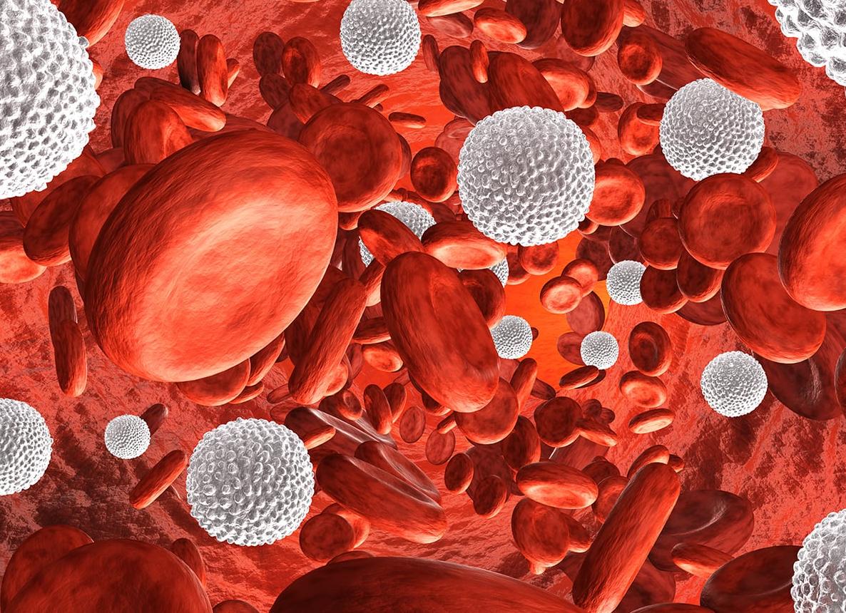 Мазок гинекология повышенные лейкоциты Мазок гинекология повышенные лейкоциты