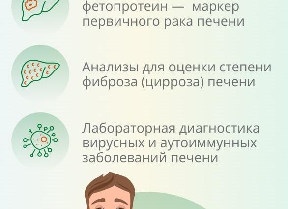 Как проверить работу печени