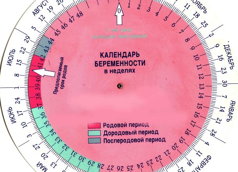 Как определить срок родов