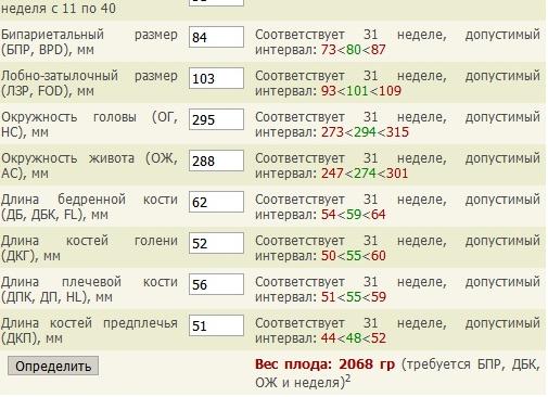 Длина бедренной кости по неделям