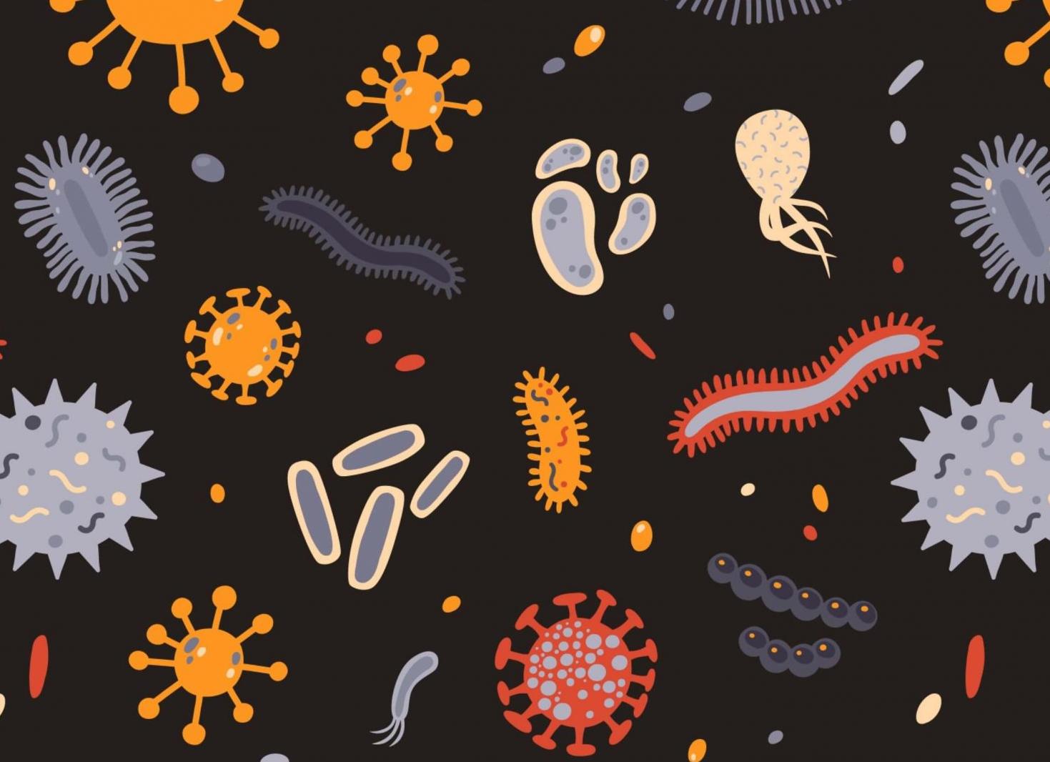 Что лечат антибиотиками вирусы или бактерии