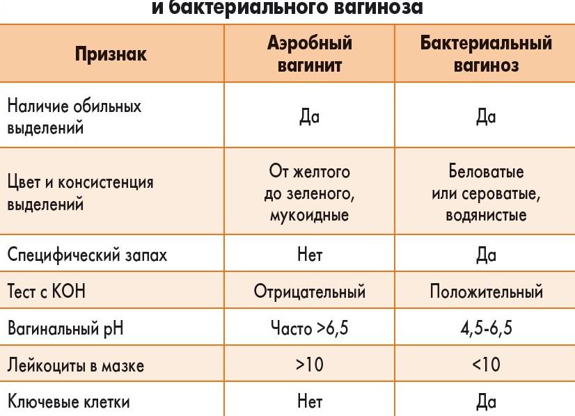 Аэробная флора в мазке