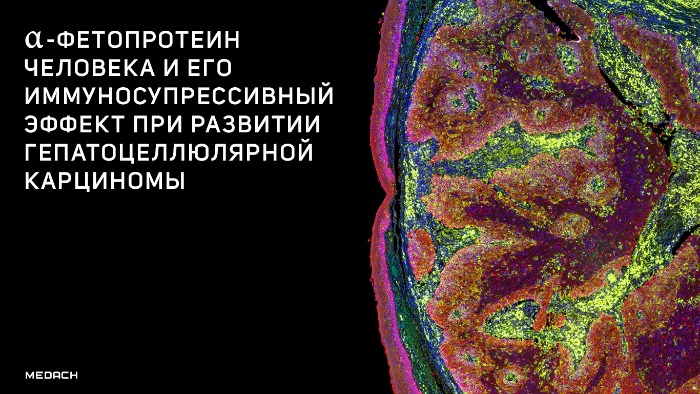 Альфа фетопротеин маркер значение