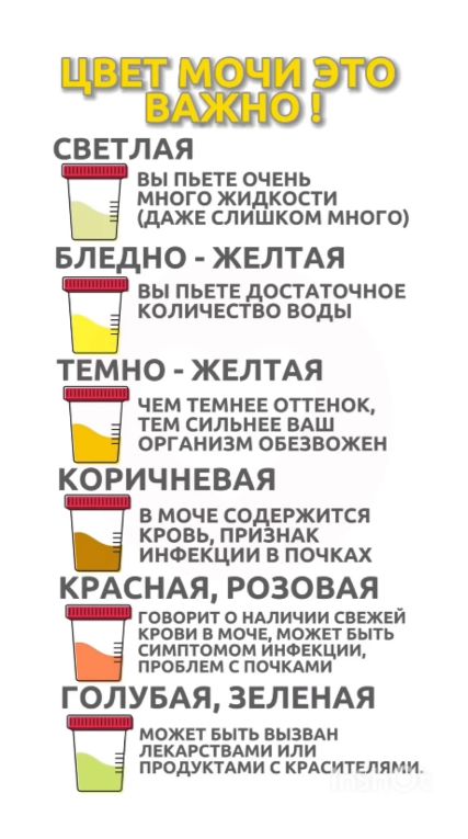 Моча светлая о чем говорит