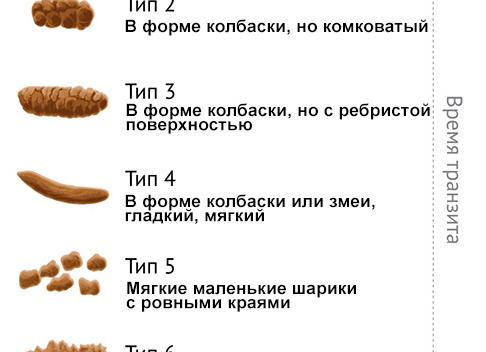 Липкий кал у взрослого человека