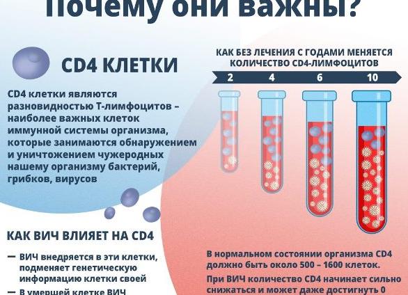 Лимфоциты при вич количество Лимфоциты при вич количество