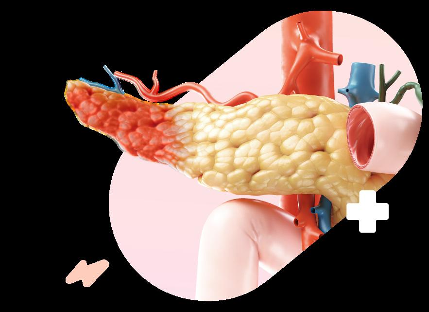 Какие сдавать анализы при панкреатите Какие сдавать анализы при панкреатите