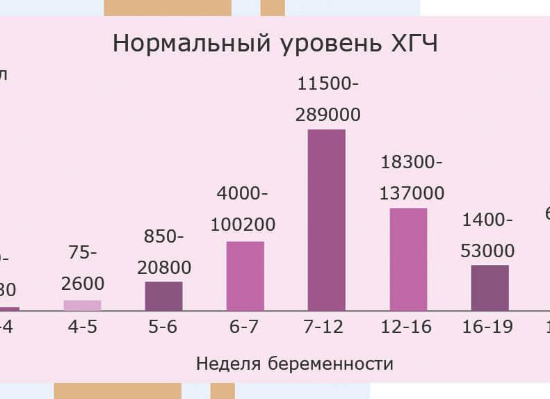 Хгч после аборта