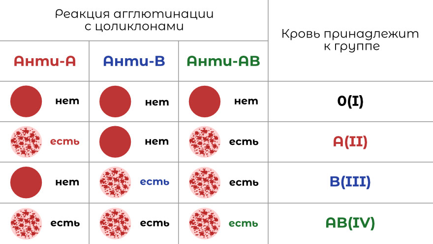 Как определить группу крови цоликлонами