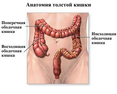 Как проверить толстый кишечник