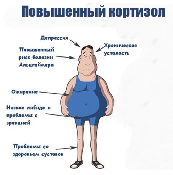 Кортизол гормон что это такое у женщин