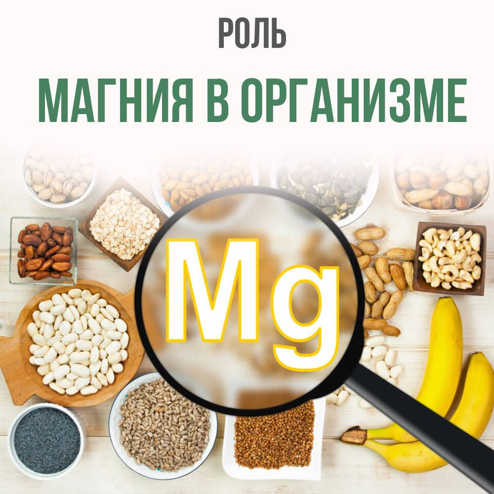 Магний в организме
