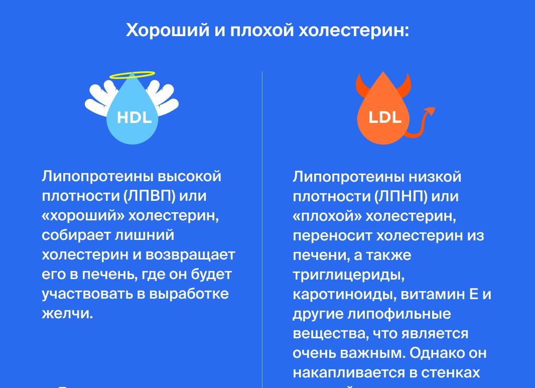 Лпвп повышен что это значит для женщины