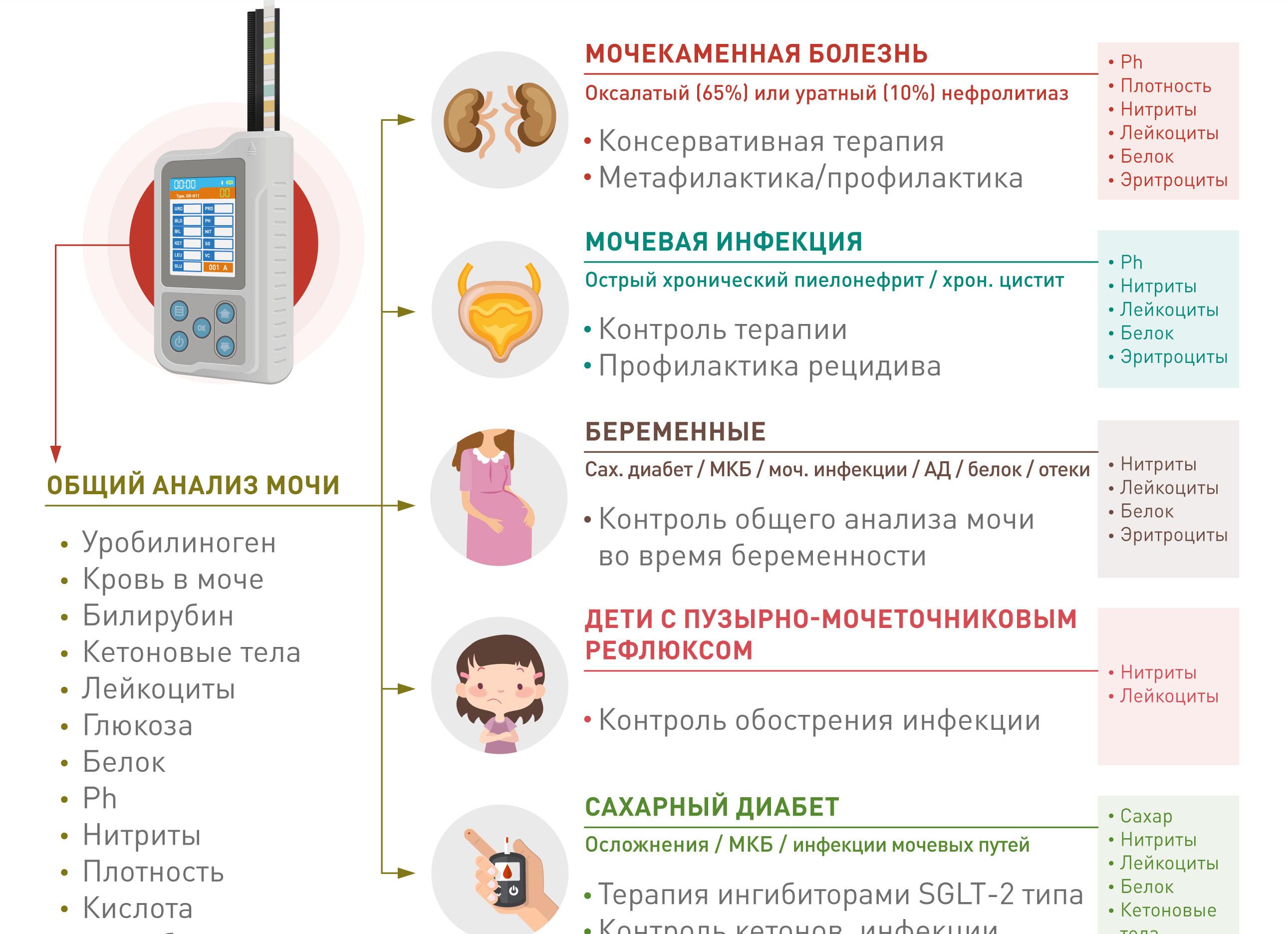 Лейкоцитарная эстераза в моче у ребенка