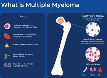 Лактатдегидрогеназа повышена причины у взрослого человека Лактатдегидрогеназа повышена причины у взрослого человека