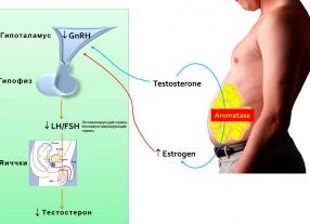 Как понизить эстрадиол у женщин